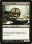 Rotting Fensnake – Innistrad (ISD-113) Magic: The Gathering card