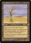 Magic-kaart Karoo VIS-165 uit Visions (Uncommon)