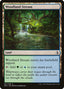 Woodland Stream – Amonkhet (AKH-287) Magic: The Gathering card | LC-REM-20260804-15151796977996-f8ff0f82-1326-479c-ba88-8cc85c56d883