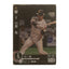川瀬 晃 Bushiroad Dream Order 2024 PBP01-H05 Baseball trading card | Lichcards