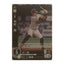 中村 晃 Bushiroad Dream Order 2024 PBP02-H05 Baseball trading card