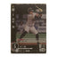 中村 晃 Bushiroad Dream Order 2024 PBP02-H05 Baseball trading card | Lichcards