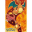 Pokémon Fire Type maxi-poster met Charmander, Charmeleon en Charizard | Lichcards