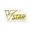 Pokémon VSTAR Marker