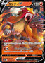 Pokémon-kaart Entei V 19/172 Double Rare uit de set VSTAR Universe