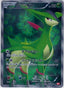 Pokémon-kaart Virizion 67/66 Secret Rare uit de set Red Collection