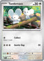 Pokémon-kaart Tandemaus 073/091 Common uit de set Paldean Fates