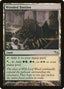 Wooded Bastion – Shadowmoor 281 – Magic: The Gathering single card | Lichcards