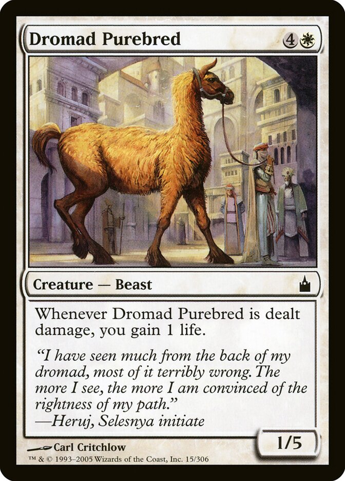 Dromad Purebred - Ravnica: City of Guilds (Common) [RAV-15]