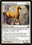 Dromad Purebred - Ravnica: City of Guilds (Common) [RAV-15]
