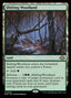 Shifting Woodland - Modern Horizons 3 (Rare) [MH3-228]