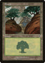 Forest (V.3) - Invasion (Land) [INV-349]