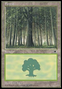 Forest (V.1)