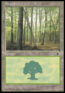 Forest (V.2)