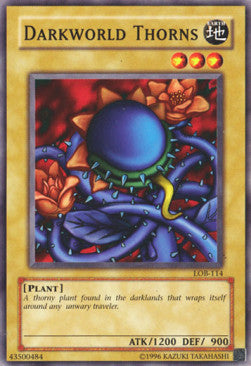 Darkworld Thorns (V.2 - Common) - Legend of Blue Eyes White Dragon (Common) [LOB-114] Hoofdafbeelding