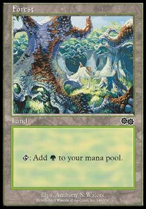Forest (V.2) Image principale du produit