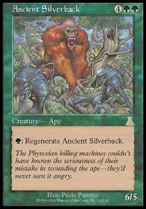 Ancient Silverback Hoofdafbeelding