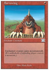 Burrowing Main image