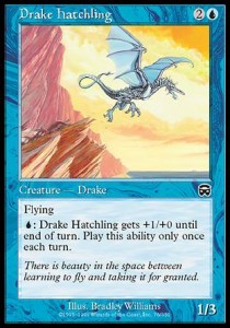 Drake Hatchling - Mercadian Masques (Common) [MMQ-76] Main image