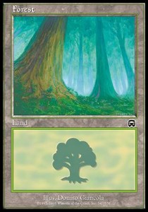Forest (V.1) - Mercadian Masques (Land) [MMQ-347] Main image