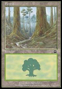 Forest (V.3) Main image