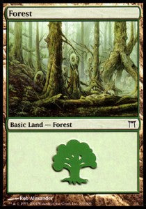 Forest (V.1) - Champions of Kamigawa (Land) [CHK-303] Immagine principale del prodotto