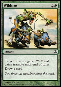 Wildsize Main image