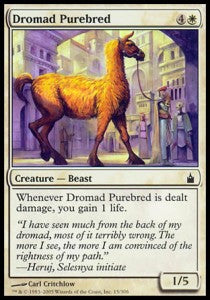 Dromad Purebred - Ravnica: City of Guilds (Common) [RAV-15] Main image