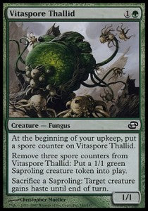 Vitaspore Thallid Imagen principal del producto