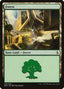 Forest (V.3) - Amonkhet (Land) [AKH-268]