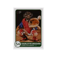 Kaart in Ultra Pro Platinum Series sleeve | Lichcards