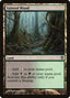 Tainted Wood – Duel Decks: Jace vs. Vraska (DDM-78) Magic: The Gathering card