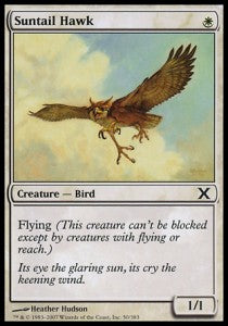 Suntail Hawk - Tenth Edition (Common) [10E-50]