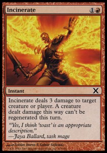 Incinerate - Tenth Edition (Common) [10E-213] Hauptbild