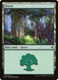 Forest (V.4) - Ixalan (Land) [XLN-279]