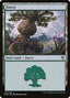 Forest – Dominaria United (DMU-275) Magic: The Gathering card | LC-REM-20260804-15151500984652-1a1b6004-6dda-4495-85f7-eb8fa29873e9