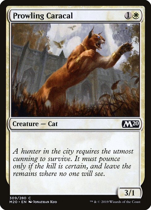 Prowling Caracal – Core Set 2020 (M20-309) Magic: The Gathering card | LC-REM-20260804-15711430771020-1e689e4a-fc54-46f4-b0c5-c0e65d88340e