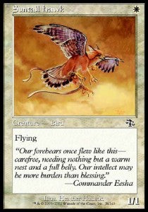 Suntail Hawk - Judgment (Common) [JUD-28] Main image