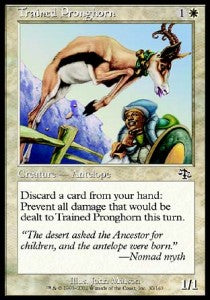 Trained Pronghorn - Judgment (Common) [JUD-30] Main image