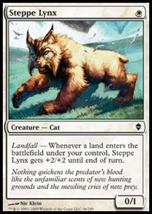 Steppe Lynx Hauptbild