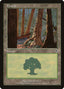 Forest (V.2) - Invasion (Land) [INV-348]