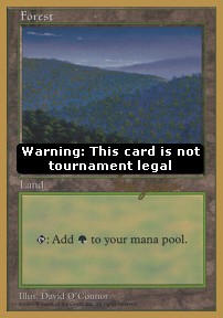 Forest (V.2)