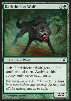 Darkthicket Wolf - Innistrad (Common) [ISD-175] Immagine principale del prodotto