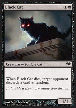 Black Cat - Dark Ascension (Common) [DKA-54] Main image
