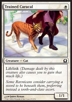 Trained Caracal - Return to Ravnica (Common) [RTR-27] Hauptbild