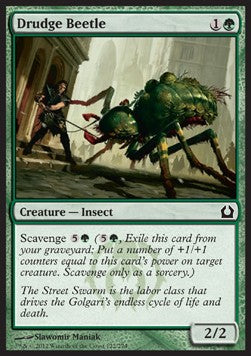 Drudge Beetle - Return to Ravnica (Common) [RTR-122] Hauptbild