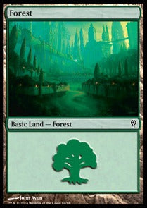 Forest (V.1) - Duel Decks: Jace vs. Vraska (Land) [DDM-84] Immagine principale del prodotto