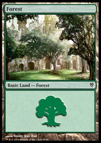 Forest (V.2) - Duel Decks: Jace vs. Vraska (Land) [DDM-85]