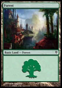 Forest (V.3) - Duel Decks: Jace vs. Vraska (Land) [DDM-86] Hauptbild