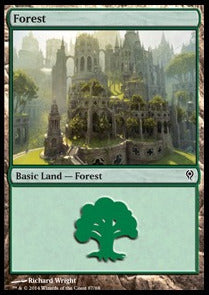 Forest (V.4) - Duel Decks: Jace vs. Vraska (Land) [DDM-87]